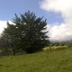 07092010440[1]